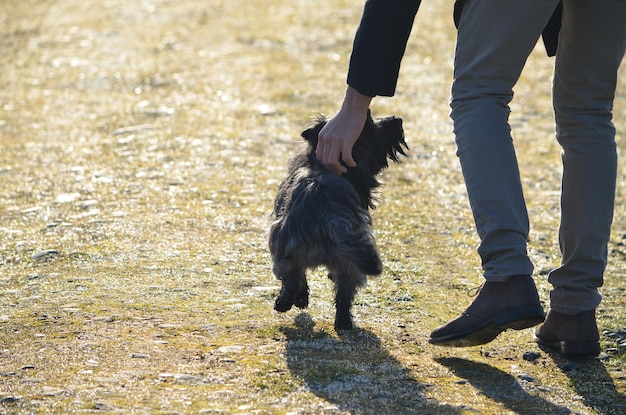 Photo low section of man with dog