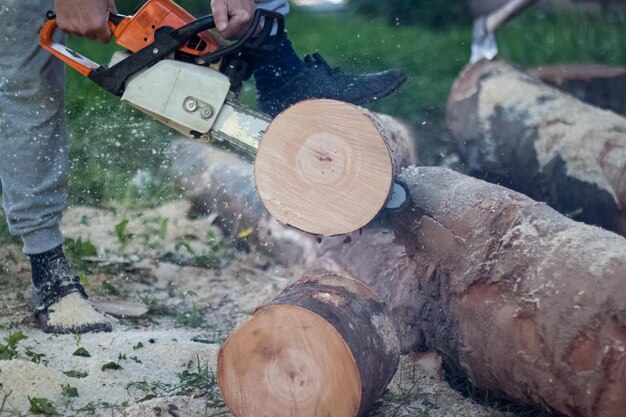 Photo low section of man working on log