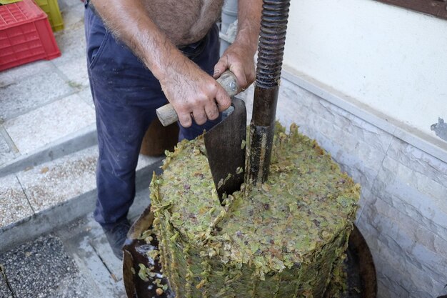 Foto sezione inferiore degli uomini che lavorano in cantina