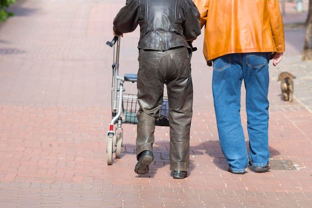 Low section of men with shopping cart walking on road