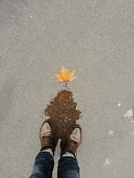 Фото Нижняя часть человека, стоящего на мокрой дороге.