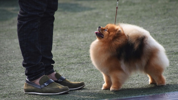 사진 야외 에 서 있는 남자 의 낮은 부분