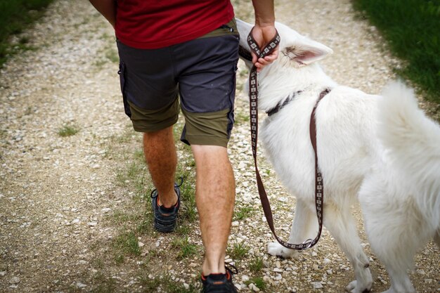 写真 野原で犬を飼う男の下部