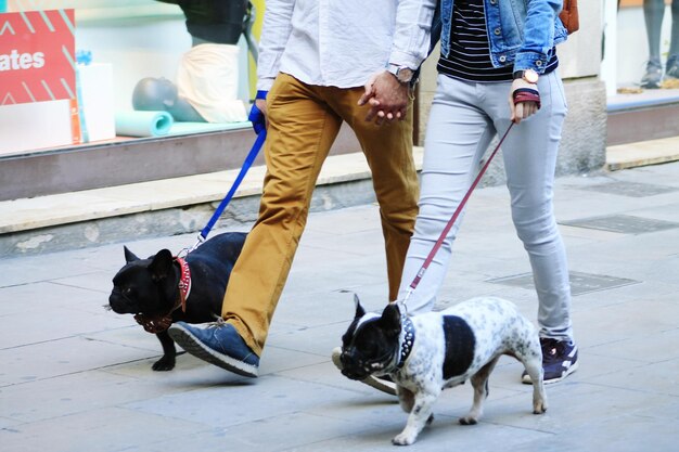 写真 床に犬を乗せた人々の下部