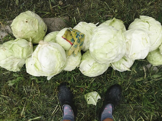 写真 地面に立っている人の下部