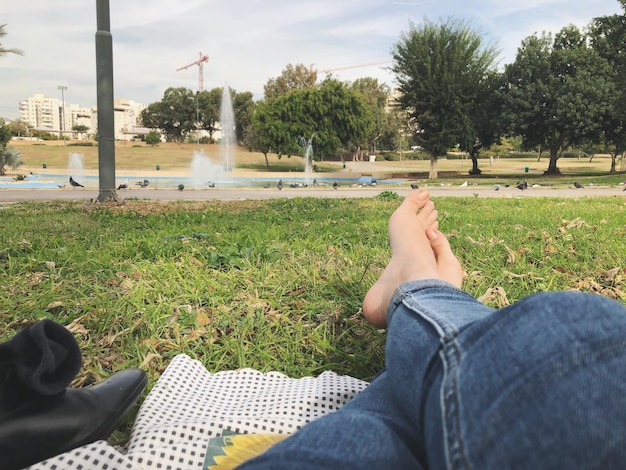 사진 공원 에서  ⁇  에 앉아 있는 여자 의 낮은 부분