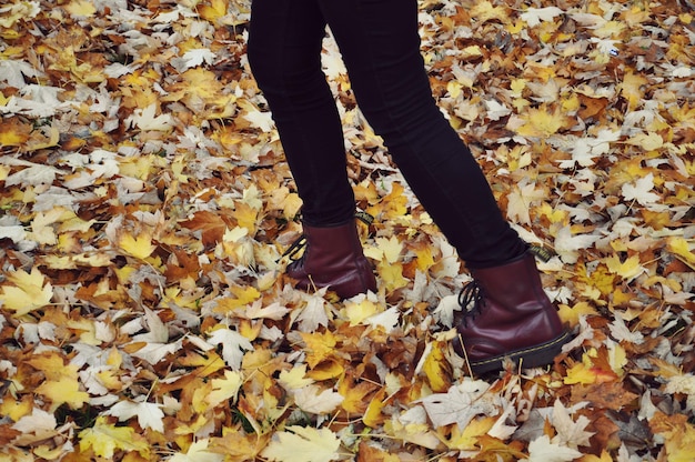 사진 가을 잎 위 에 서 있는 여자 의 낮은 부분