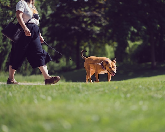Фото Нижний участок женщины с собакой, гуляющей по травяному полю в парке