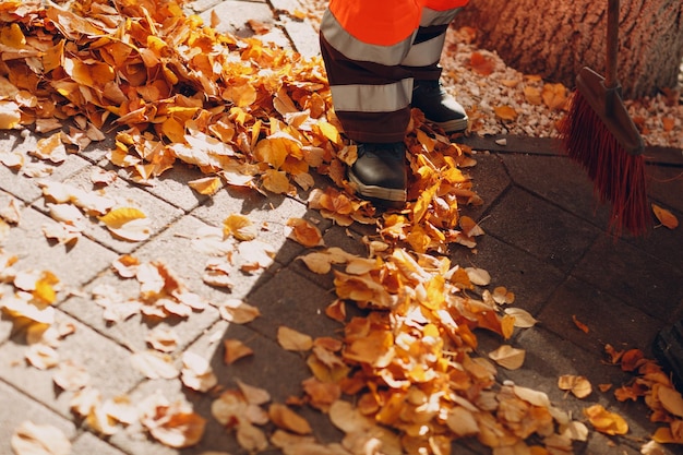 사진 가을 에 노동자 들 이 는 산책로 의 낮은 부분