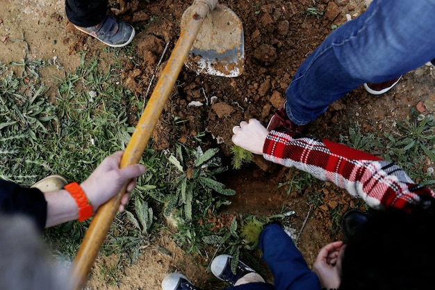 Low section of people gardening