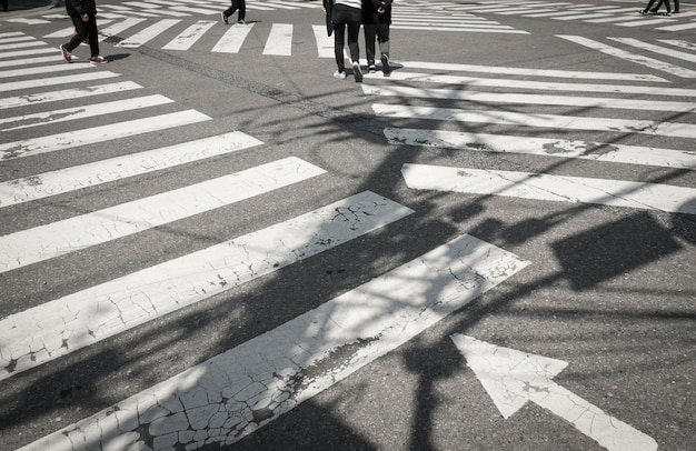 道路のゼブラ交差点を歩く人々の下部