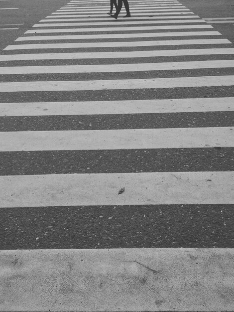 Low section of people walking on zebra crossing