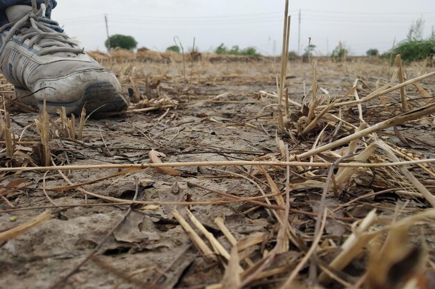 Foto sezione bassa della persona sul campo