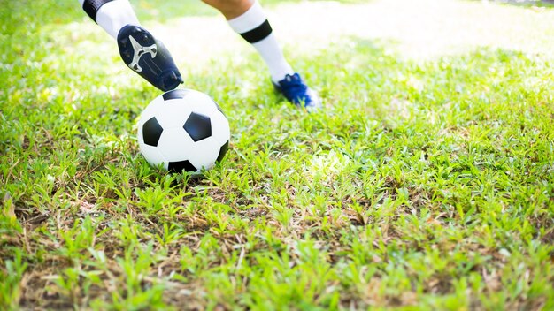 Low section of person playing soccer ball on grass