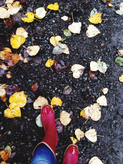 Low section of person standing on autumn leaves on street
