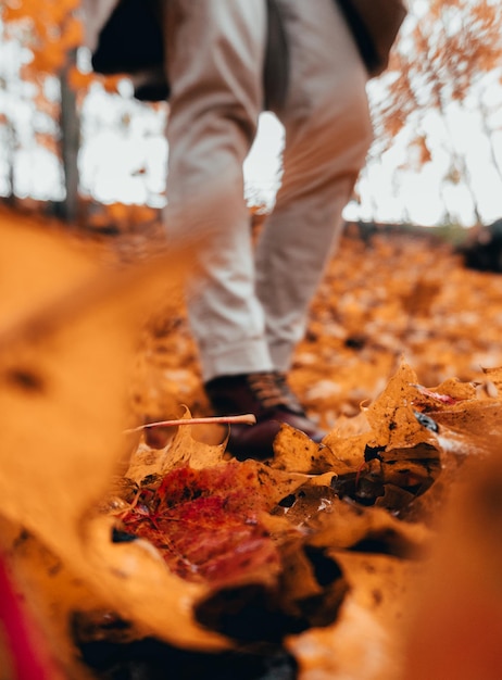 Foto sezione bassa di una persona in piedi su foglie d'autunno