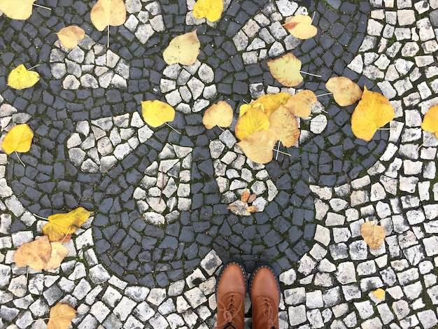 Foto sezione bassa di una persona in piedi vicino a foglie gialle su una strada acciottolata