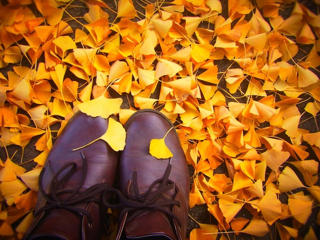 Low section of person standing on fallen ginkgo leaves on field during autumn