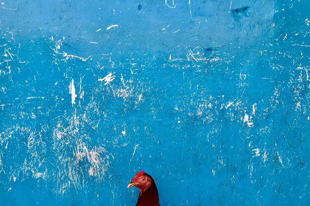 Low section of person standing in swimming pool