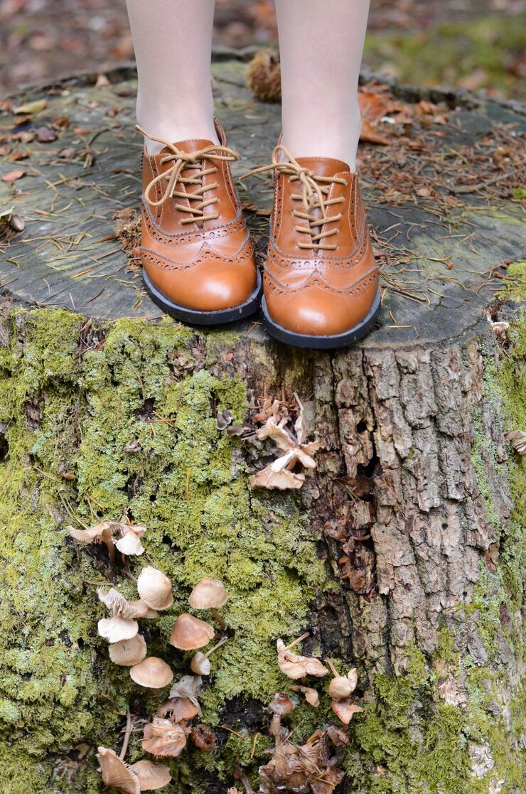 Photo low section of person standing on tree stump at forest
