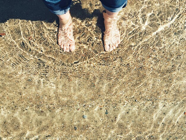 Low section of person standing in water on shore