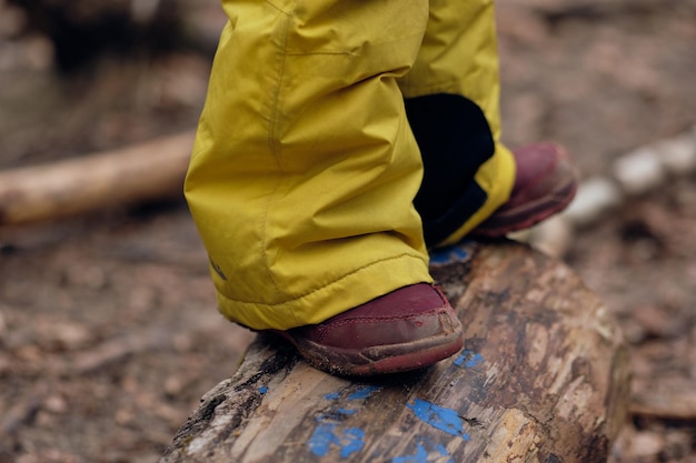 Photo low section of person standing on wood