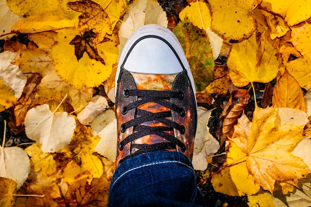 Foto sezione bassa di una persona in piedi su foglie di acero giallo durante l'autunno