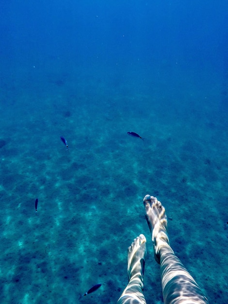 Low section of person swimming in sea