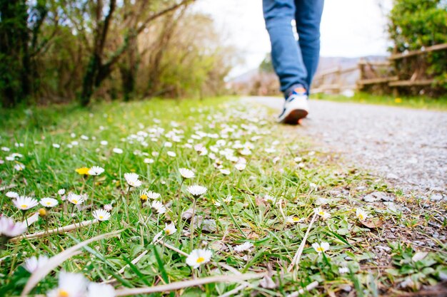 Foto sezione bassa di una persona che cammina sulla strada