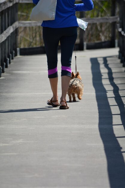 犬が床を歩いている人の下部