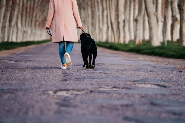 Foto sezione bassa di una persona con un cane che cammina sulla strada