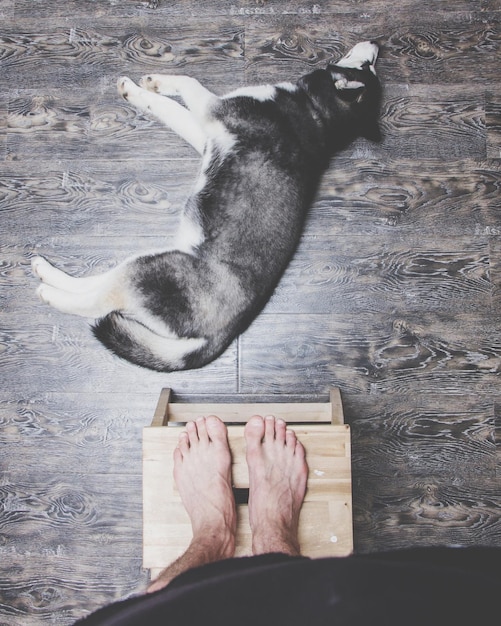 Foto sezione inferiore della persona con il cane