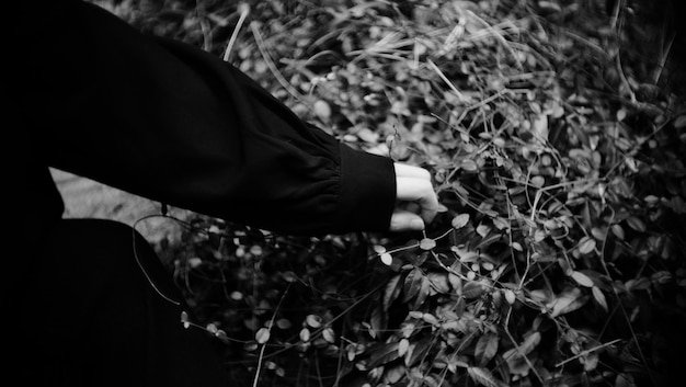 Low section of person with leaves in sunlight