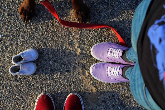 Foto sezione inferiore della donna con le scarpe e il cane in piedi sulla strada