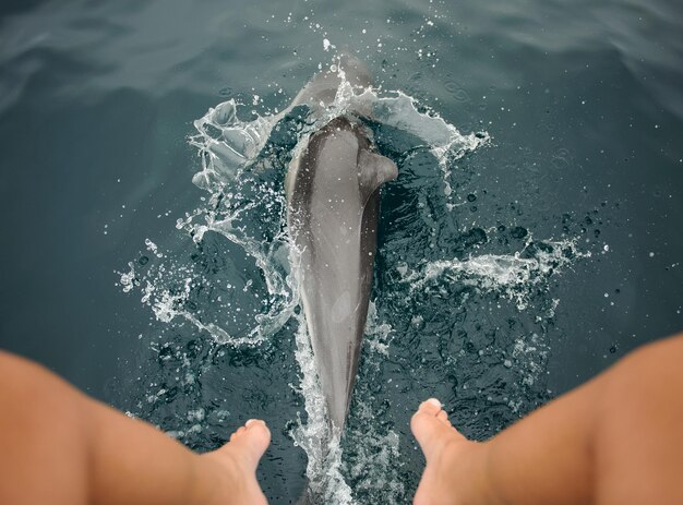 Foto sezione bassa di una donna sopra un pesce in mare