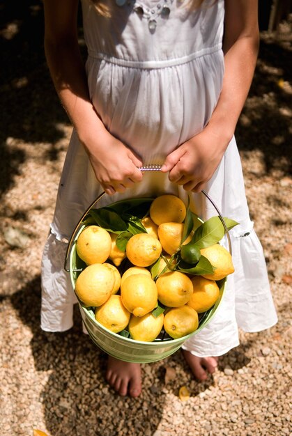 Foto sezione bassa di una donna che tiene un secchio di limoni