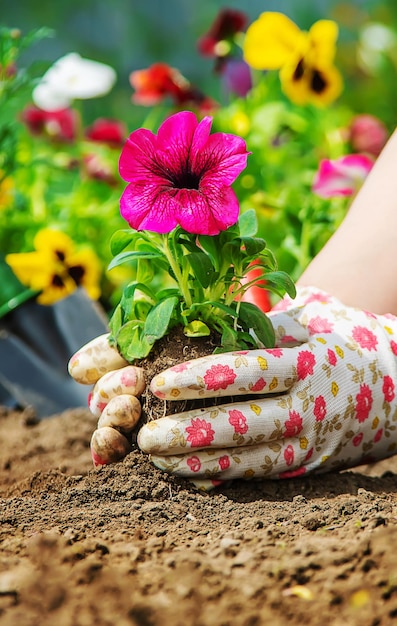 Low section of woman holding flower