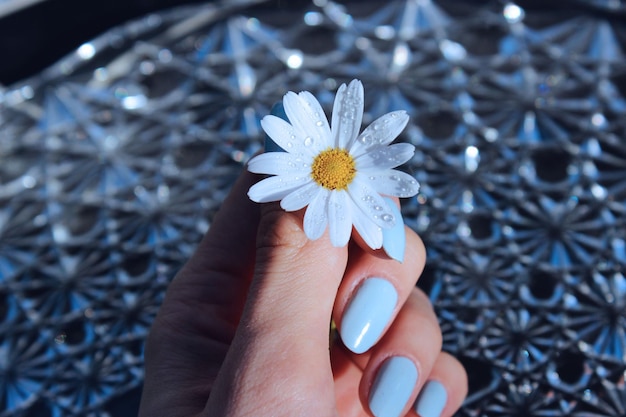 Low section of woman holding flower