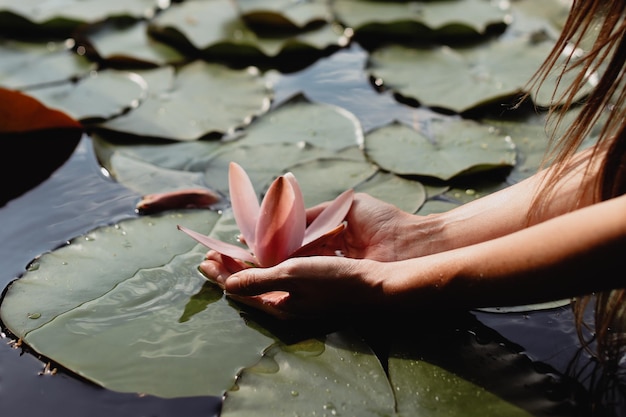 Photo low section of woman holding plant