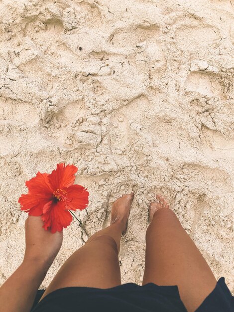 Low section of woman legs on beach