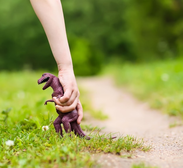 Photo low section of woman legs on field