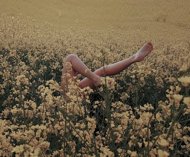 Photo low section of woman lying on field