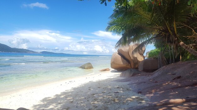 Low section of woman relaxing on beach