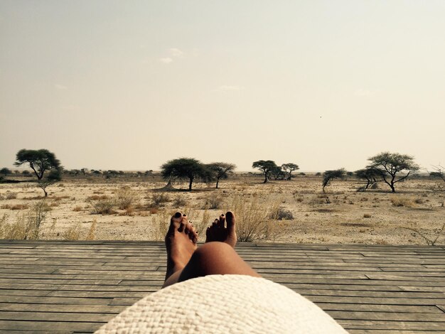 Foto sezione bassa di una donna che si rilassa sul lungomare del parco nazionale di etosha