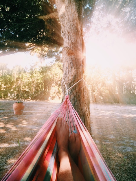 Photo low section of woman relaxing in hammock