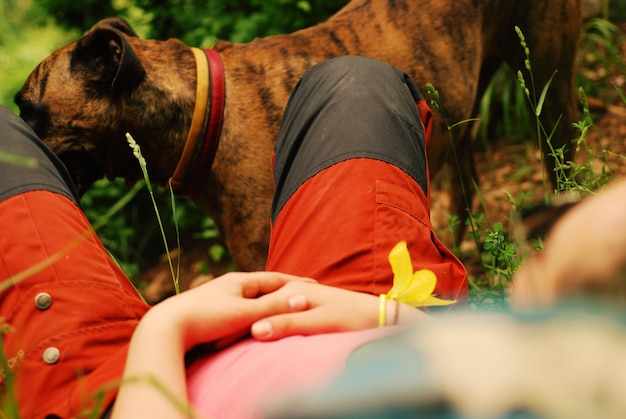 Low section of woman relaxing with dog