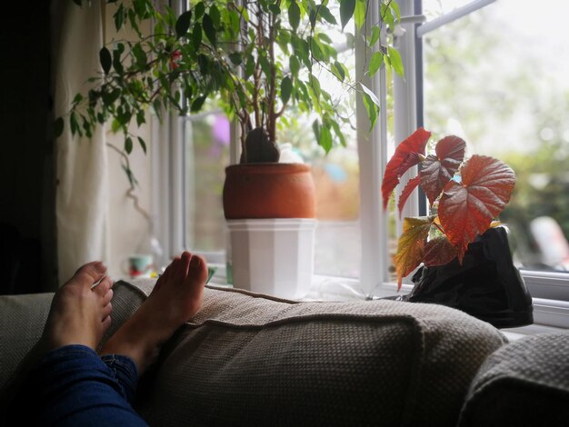 Photo low section of woman on sofa at home