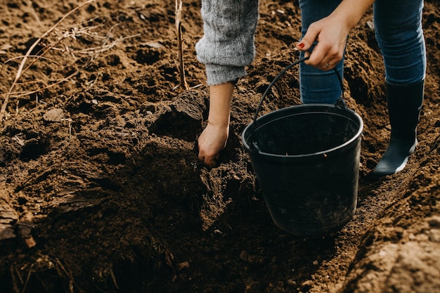 Low section of woman sowing at farm