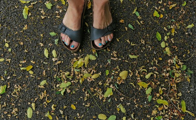 Foto sezione bassa di una donna in piedi sulle foglie d'autunno