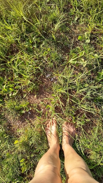 Foto sezione bassa di una donna in piedi vicino alle piante sulla terraferma